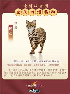 露西天龙八部私服